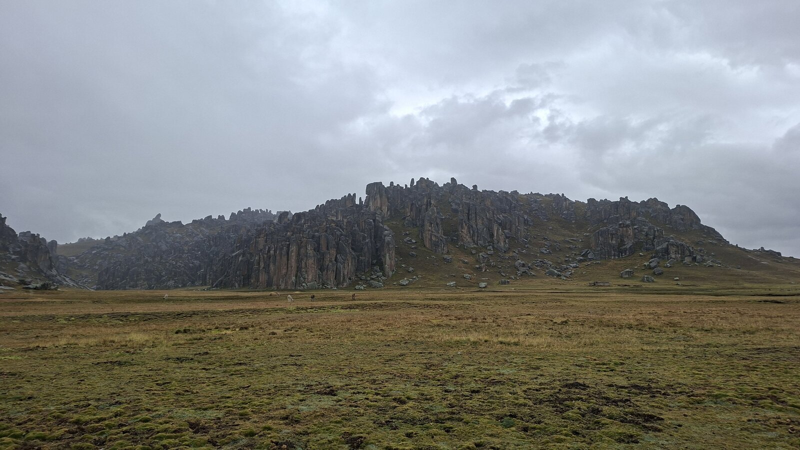 Uitzicht op Bosque de Piedras