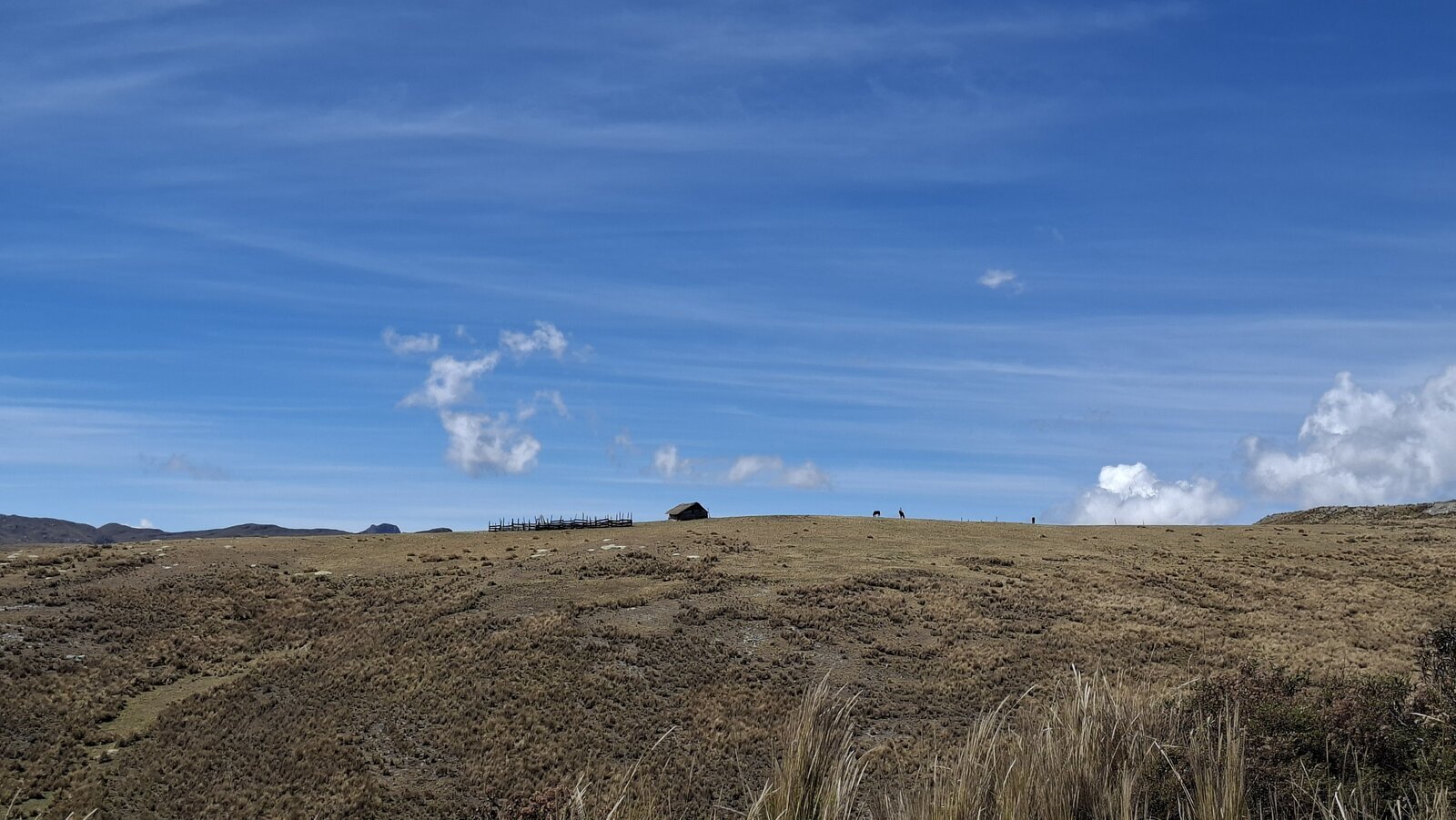 Prairie op 4000 m