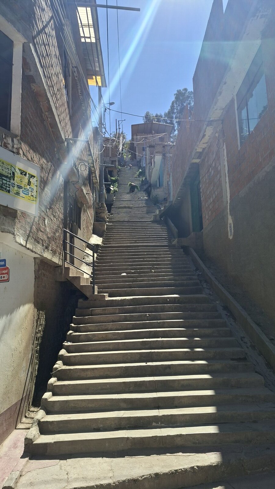 We kennen mensen die niet meer zo van trappen houden, dit oude vrouwtje heeft geen keuze